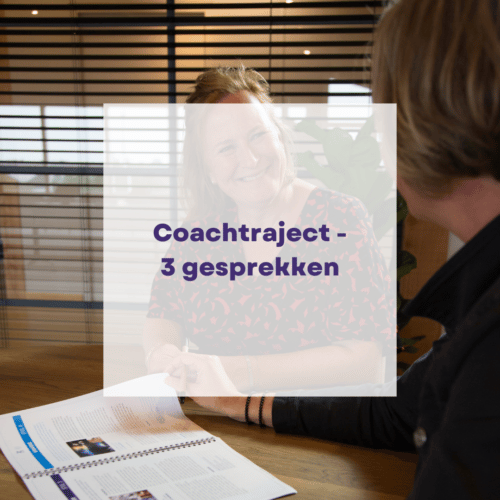 Coachtraject - 3 gesprekken
