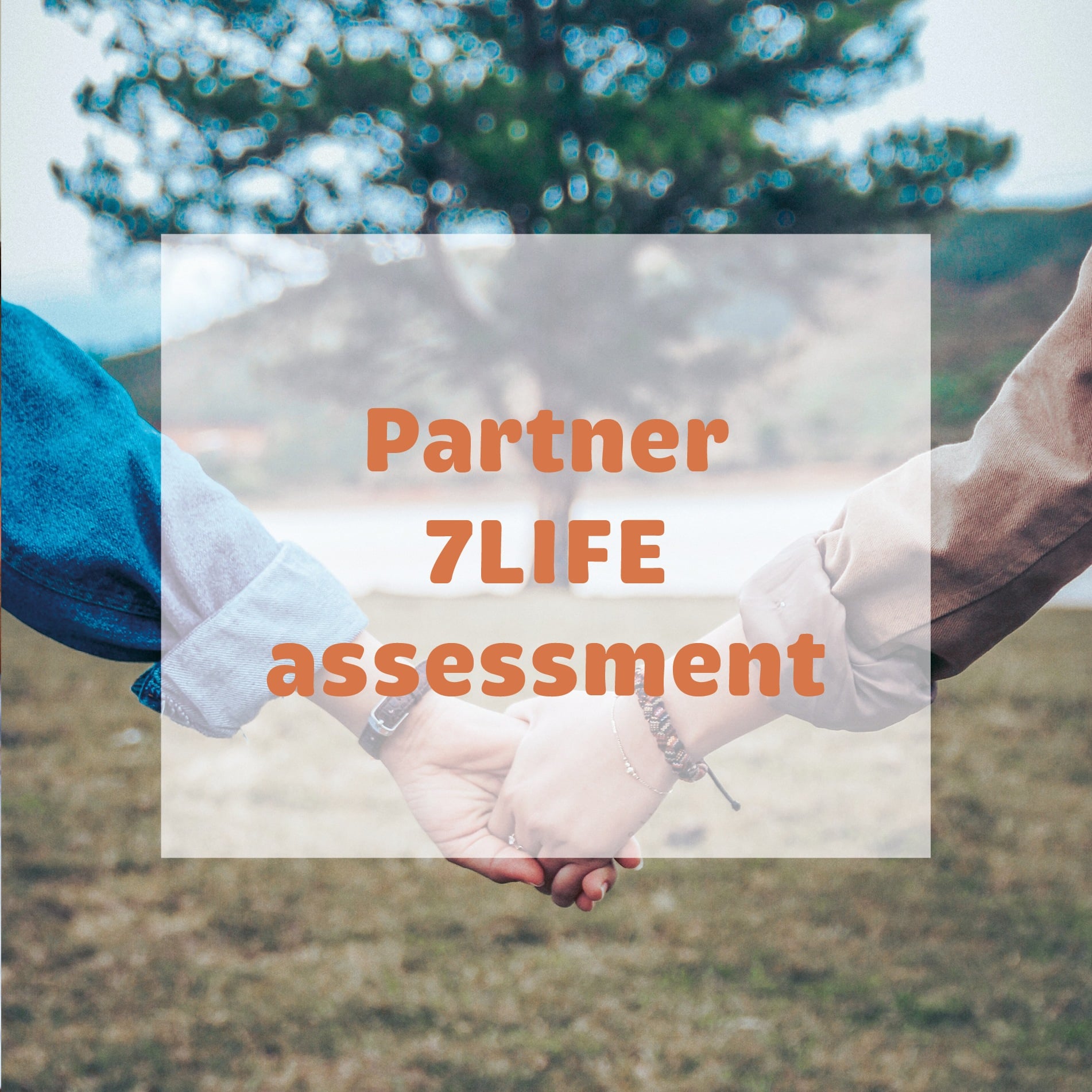 partner 7LIFE assessment
